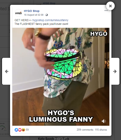 2019 luminous fanny 4.png